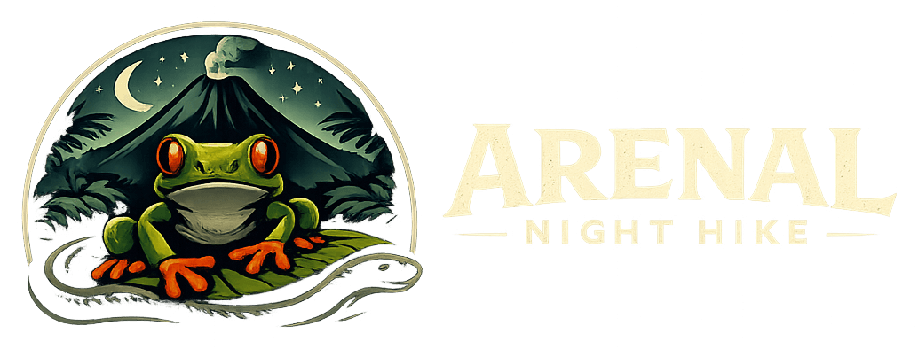 Arenal Forest Night Hike